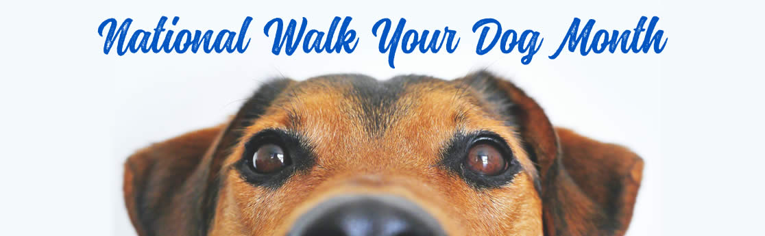 National Walk your Dog Month