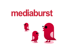 Case study for Mediaburst